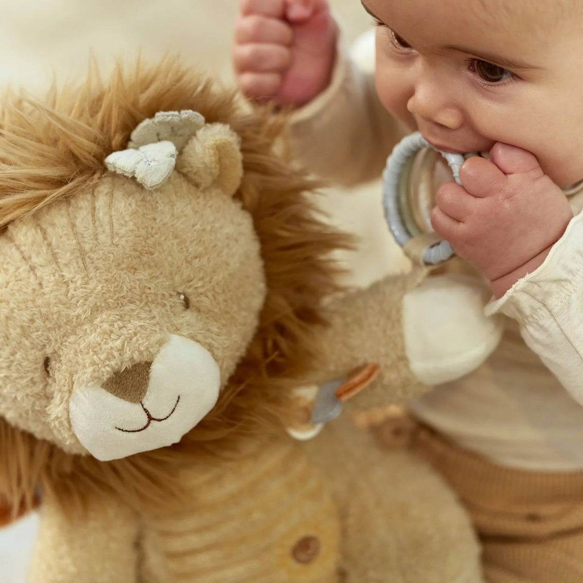 Activity Cuddle Lion